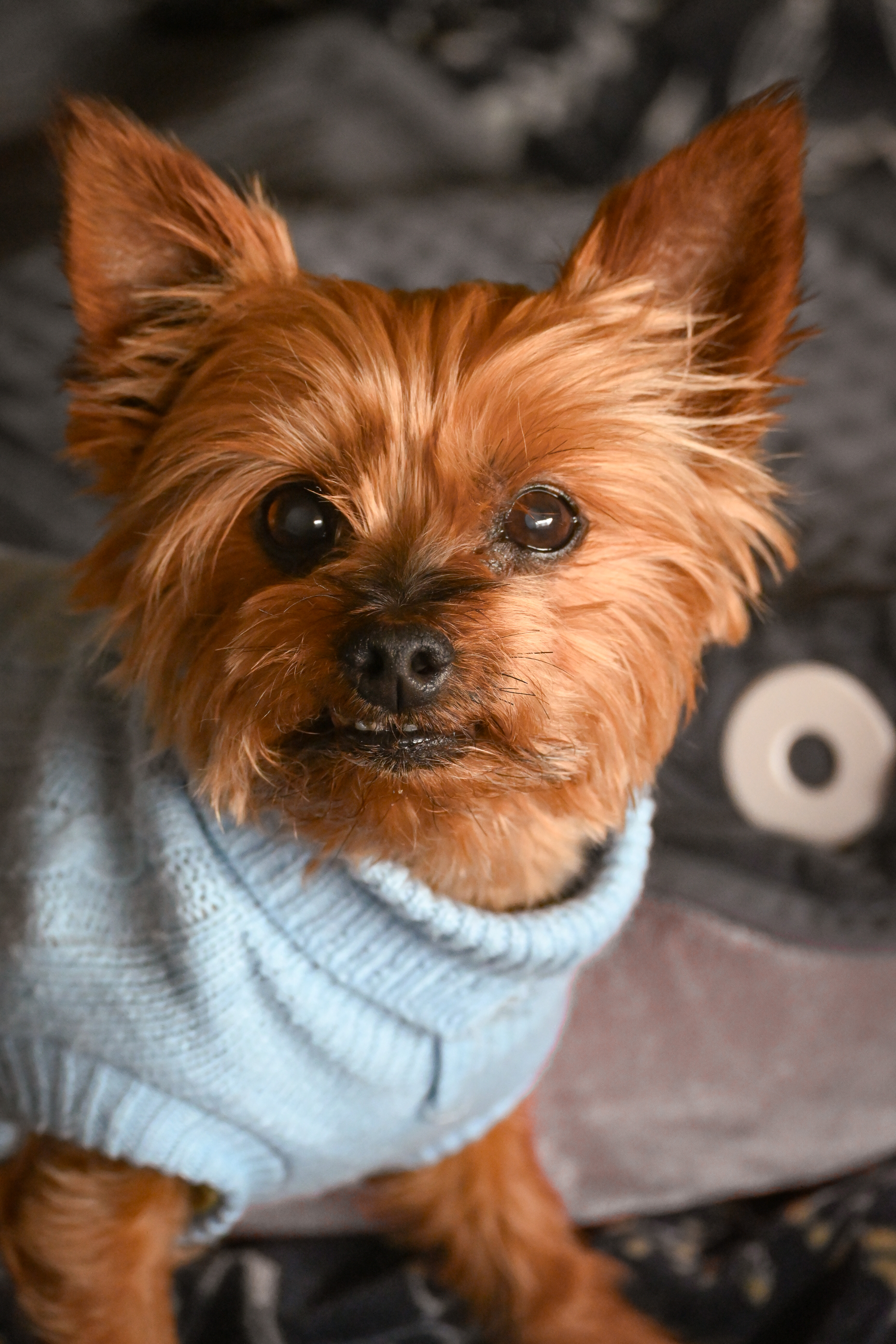 Winnie